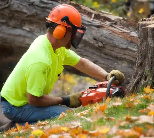 tree services Parkton